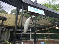 野毛山動物園で撮影