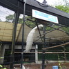 野毛山動物園で撮影