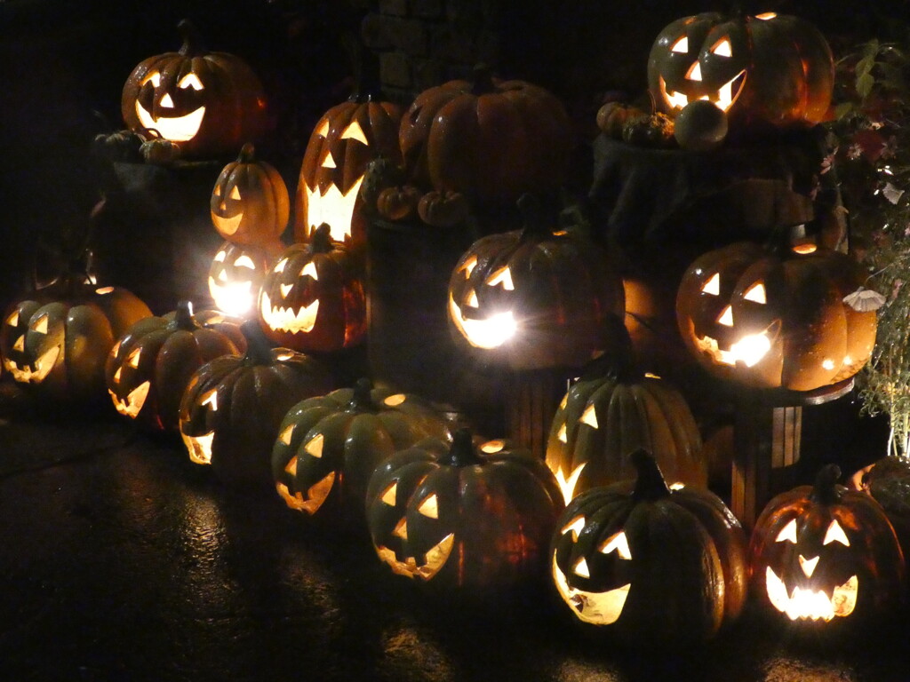 2025.10.26 横浜イングリッシュガーデン　ハロウィーンナイト