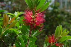 P1070140