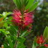 P1070140