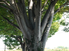 P1000995