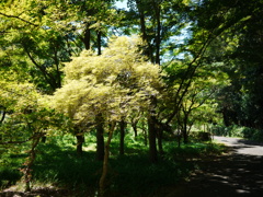 P1000835