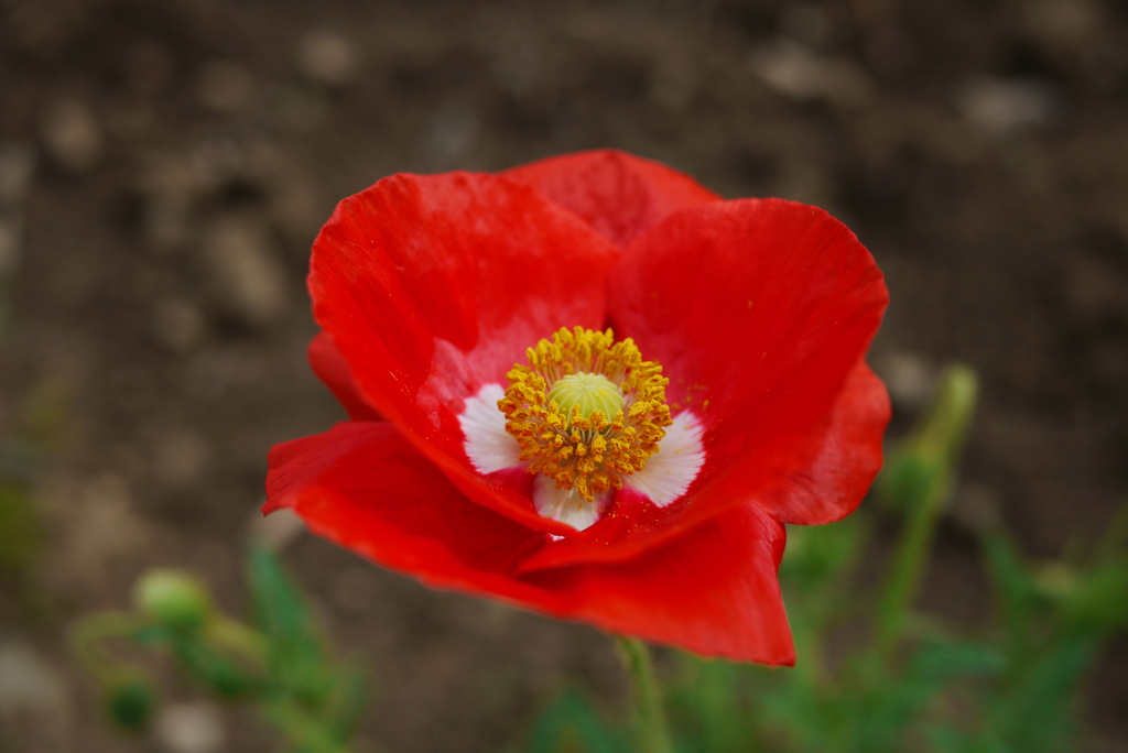 P1000451