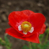 P1000451