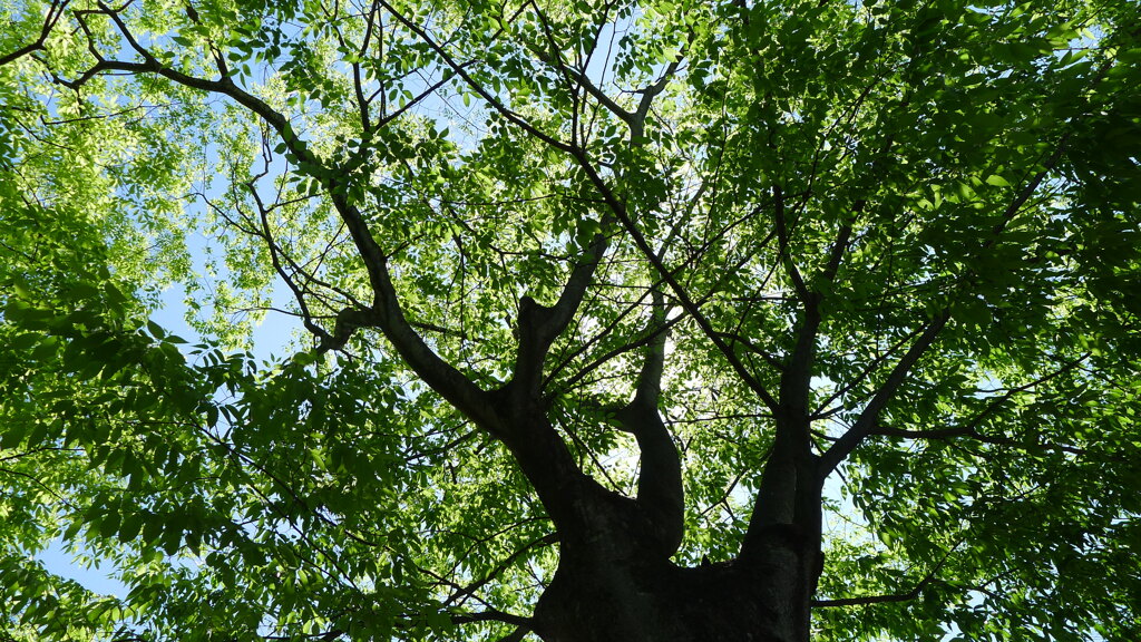 P1050999