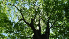 P1050999