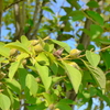 P1010004