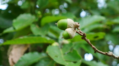 P1060942
