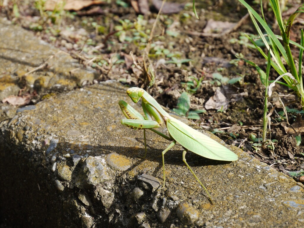 P1010108