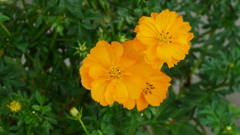 P1070167