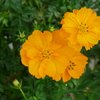 P1070167