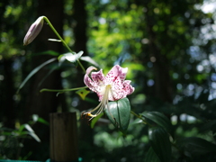 P1000890