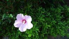 P1060921