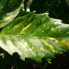 P1060854