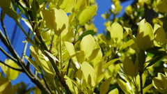 P1050882