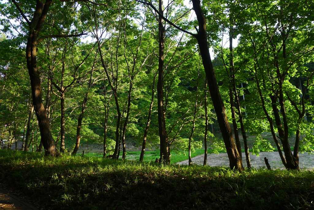 P1060308