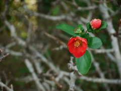 P1010099