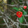 P1010099