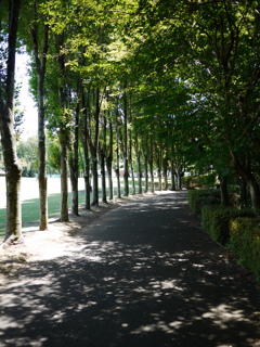 P1000876