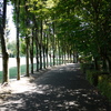 P1000876
