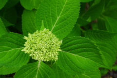P1060344