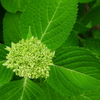 P1060344