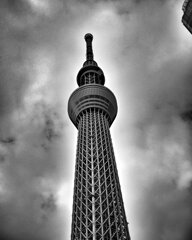 静寂を貫く塔