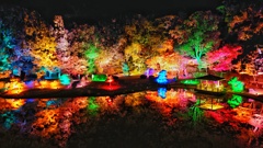 光の楽園、夜の錦