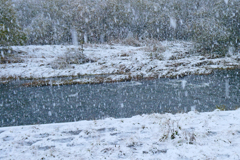 「雪降り」
