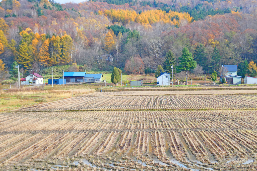 「晩秋の里山」