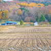 「晩秋の里山」