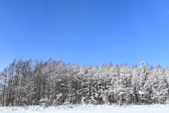 「冬の晴れ間」