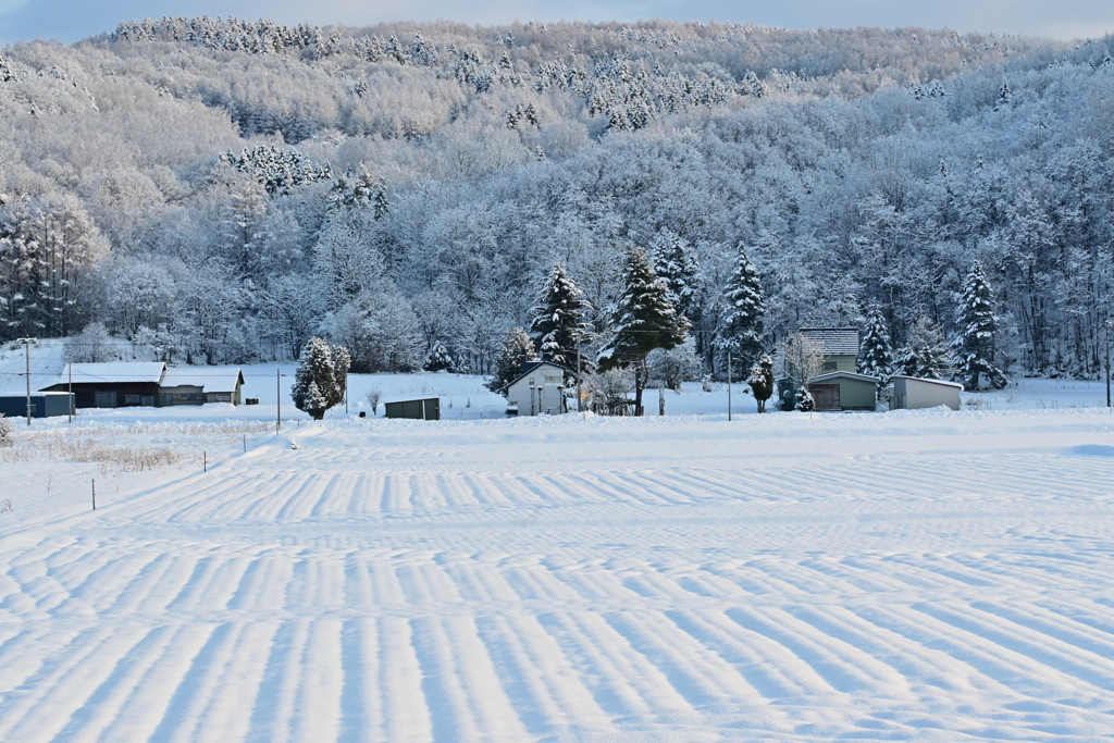 「師走・里山」