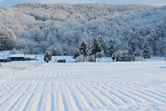 「師走・里山」