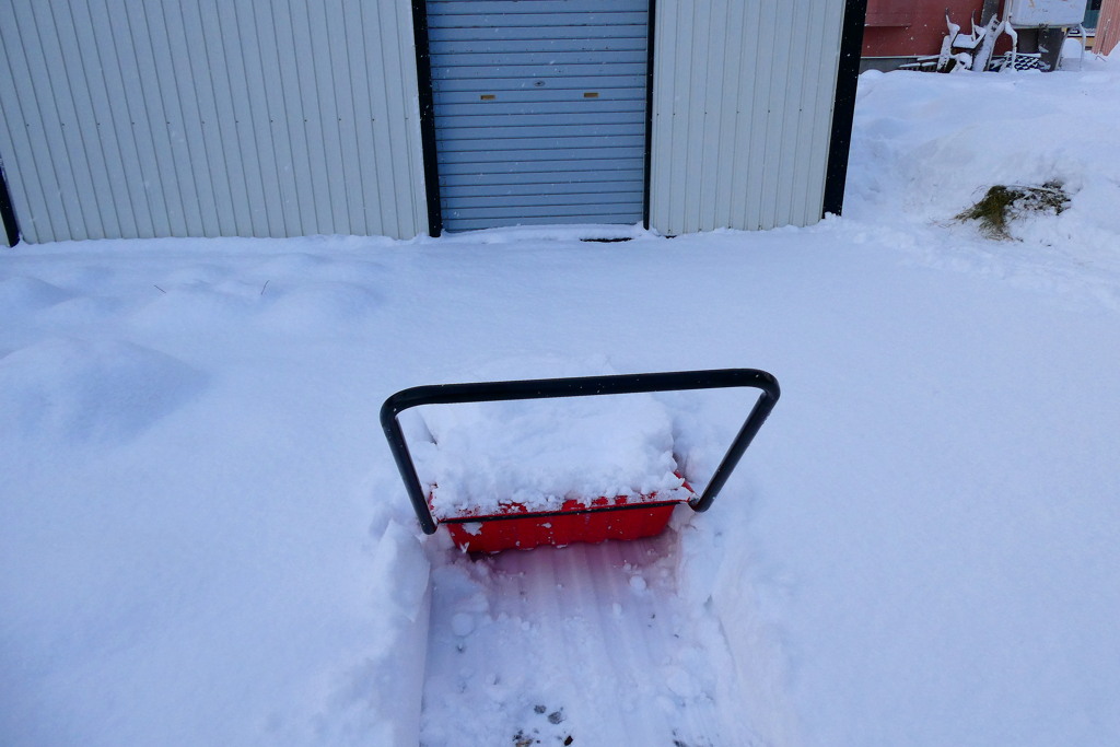「今冬初の雪」