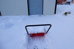 「今冬初の雪」