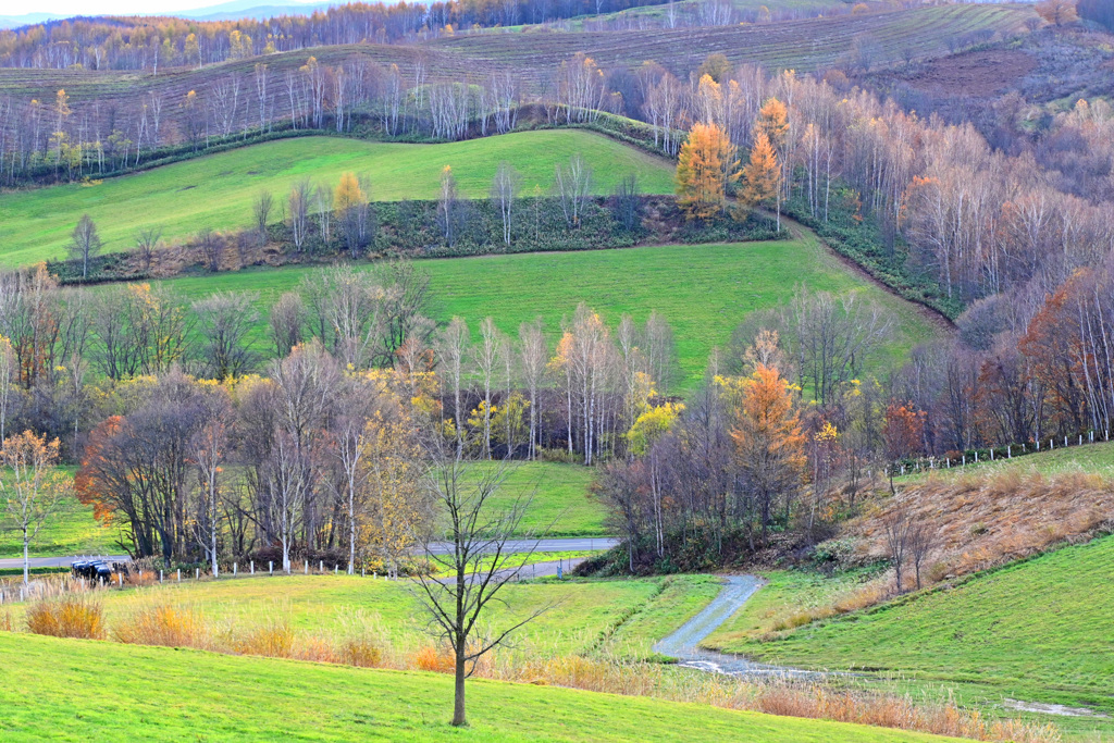 「晩秋の牧草地」