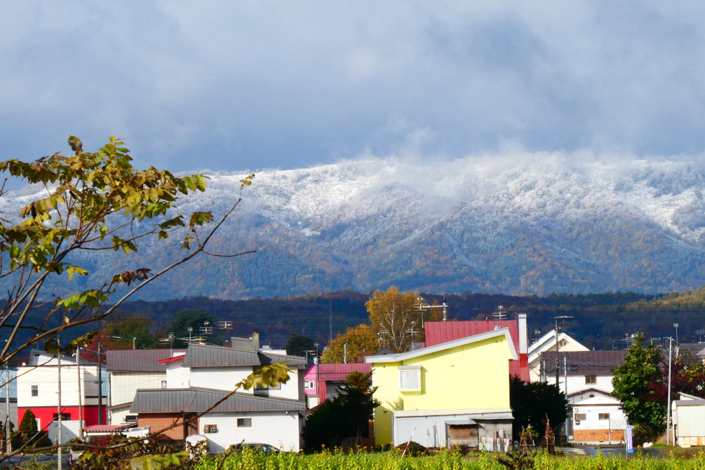 初冠雪