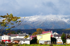 初冠雪