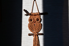 「朝陽に映える」