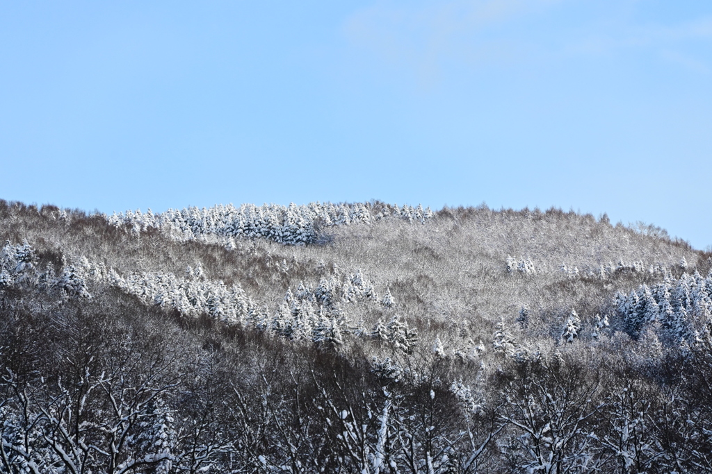 「山・冬の装い」
