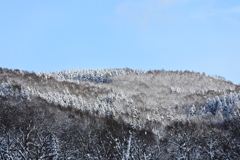 「山・冬の装い」