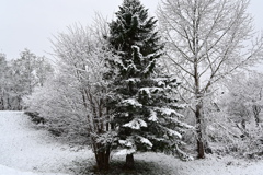 「モノクロ？いいえカラーです」