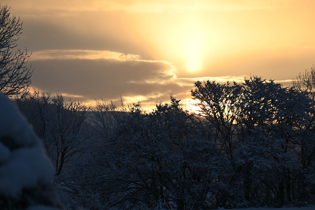 「きょうの日の出」