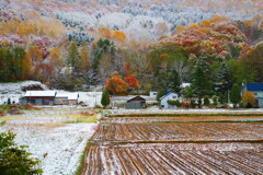 「里山の秋と冬」