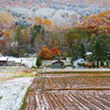 「里山の秋と冬」