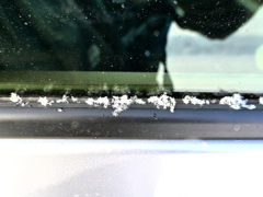 「雪印マーク！？」