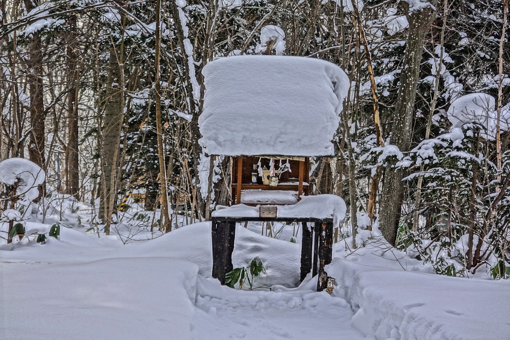 「雪と祠」