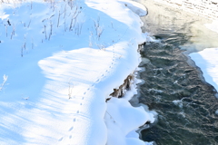 「河川敷の足跡」